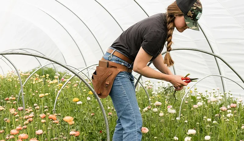 There are many variations of passages of Lorem Ipsum available, but majority have suffered teration in some form, by injected humour, or randomised words which don't look even slight believable. If you are going to use a passage of Lorem Ipsum.