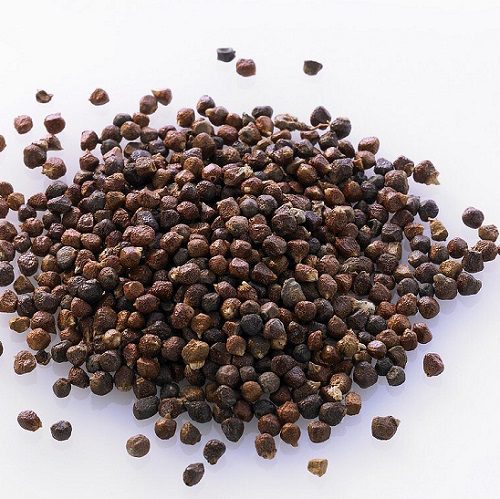 Aframomum Seeds