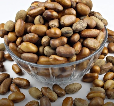 African Nutmeg (Ehuru)