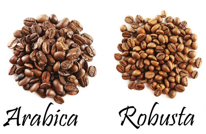 Coffee Beans (Robusta & Arabica)