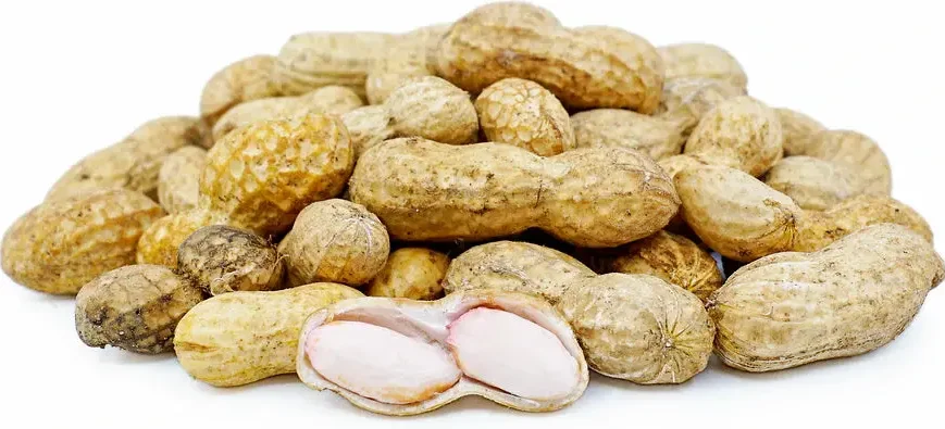 Groundnuts (Peanuts)